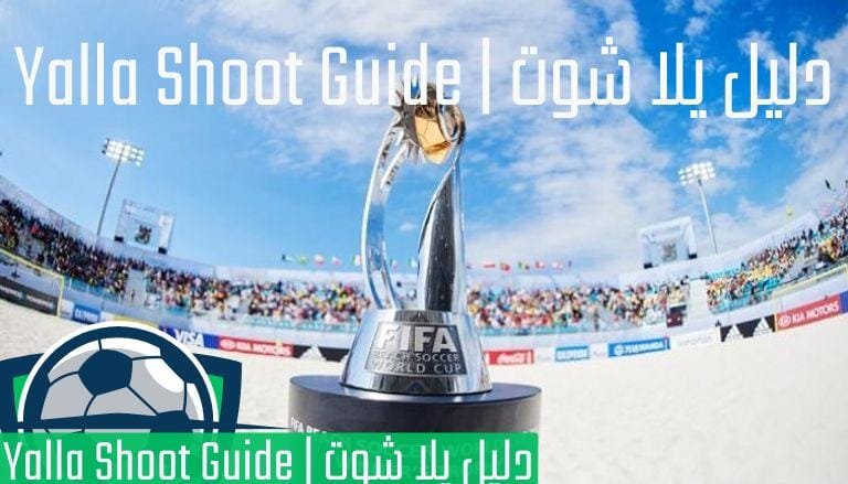 كأس العالم لكرة القدم الشاطئية