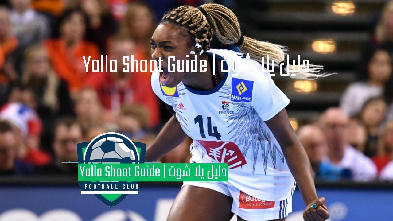 بطولة فرنسا الدولية للسيدات