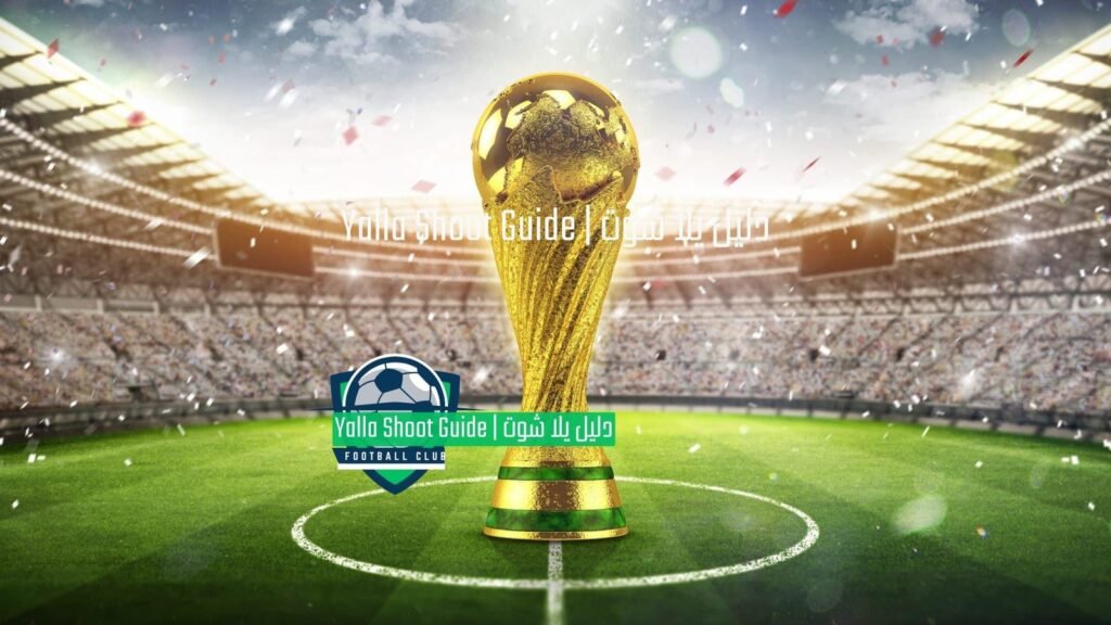 الملحق النهائي لكأس العالم