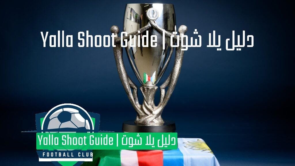 كأس أوروبا أمريكا الجنوبية (Finalissima)