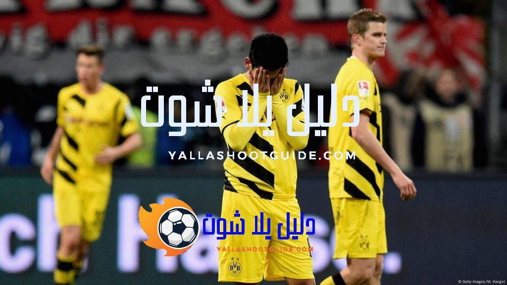 حقائق الدوري الألماني