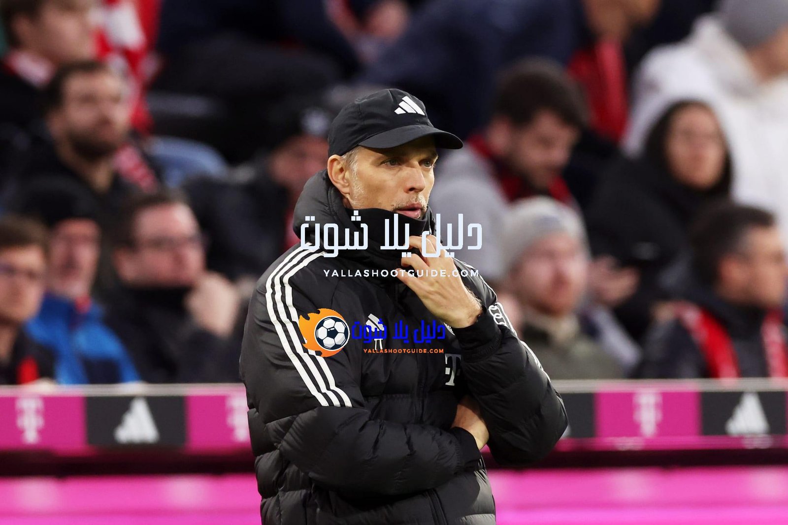 مدربو الدوري الألماني