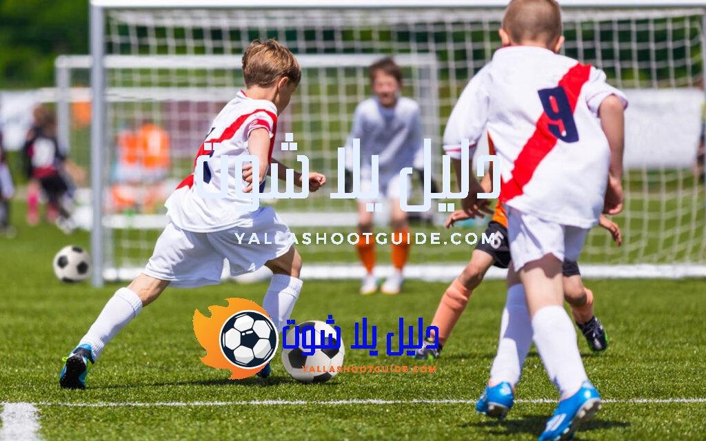 أكاديمية كرة القدم للأطفال في البحيرة