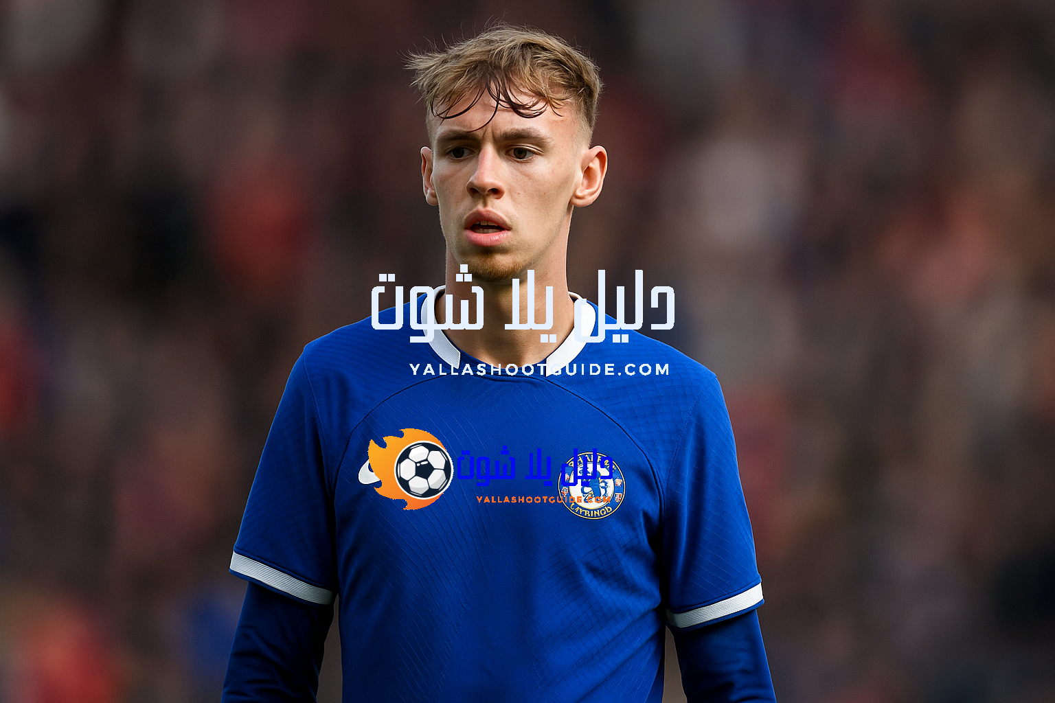 ما هي أبرز مهارات كول بالمر؟