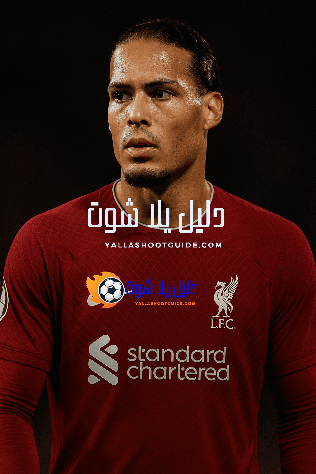 ما هي أبرز مهارات فيرجيل فان ديك؟ ما هي قصة انتقاله؟