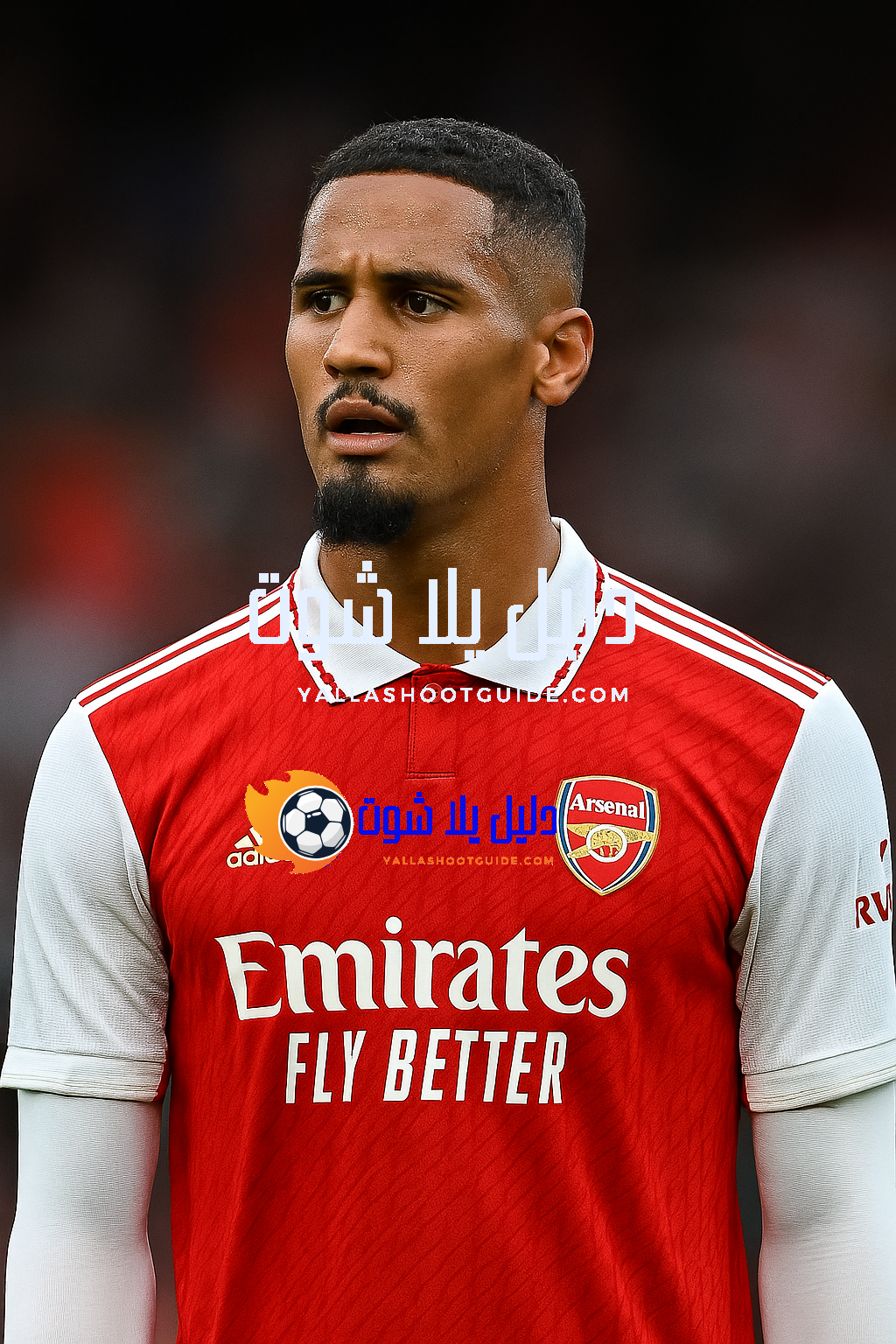 ما هي أبرز مهارات ويليام ساليبا؟