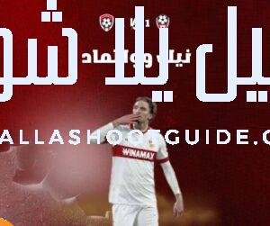 نيك وولتماد (Nick Woltemade): الموهبة الألمانية – رحلته في الدوري الإنجليزي