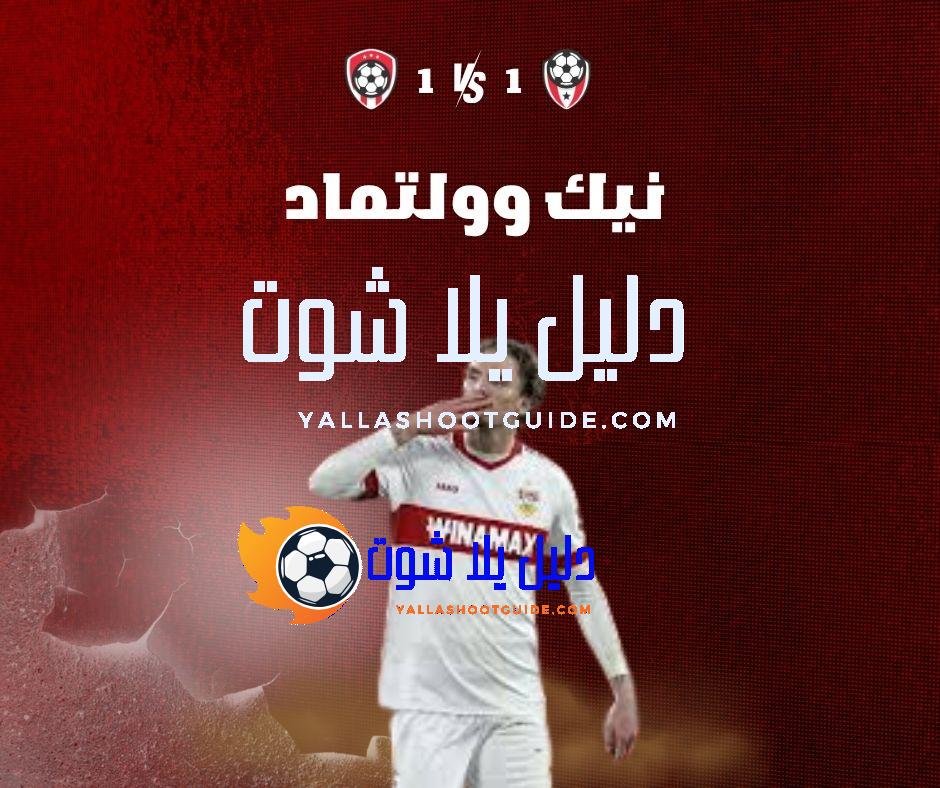 نيك وولتماد (Nick Woltemade): الموهبة الألمانية – رحلته في الدوري الإنجليزي