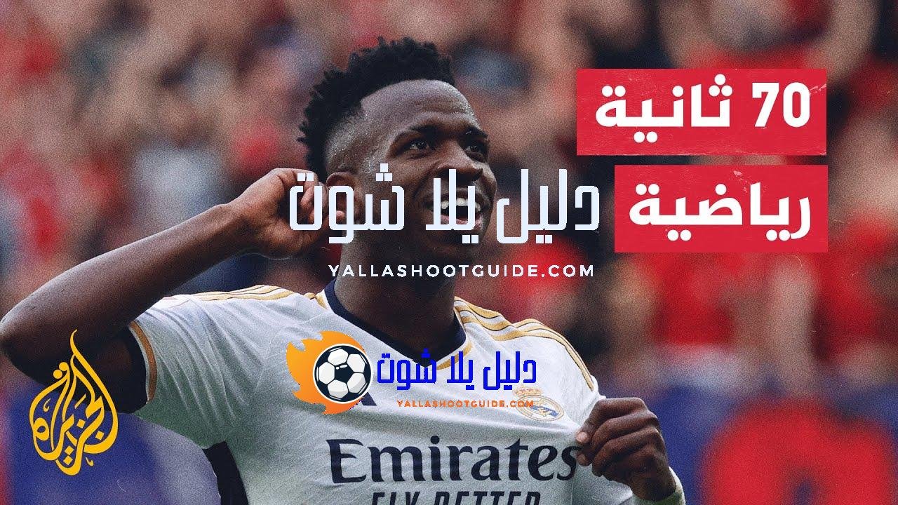 ريال مدريد يشكو تجاهل إساءة عنصرية تعرض لها فينيسيوس -