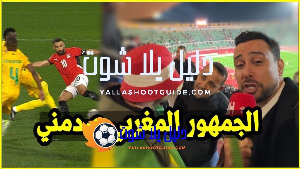 مصر تفوز على زيمبابوي ورد فعل الجمهور المغربي صدمني -