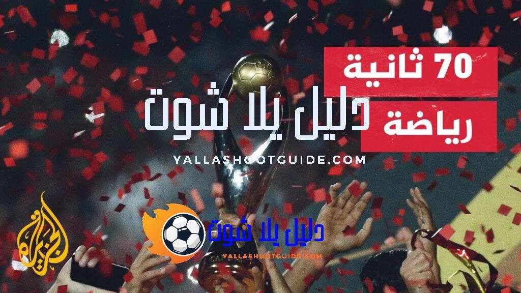 جماهير الأهلي المصري تحتفل بعد التتويج بلقب دوري أبطال إفريقيا