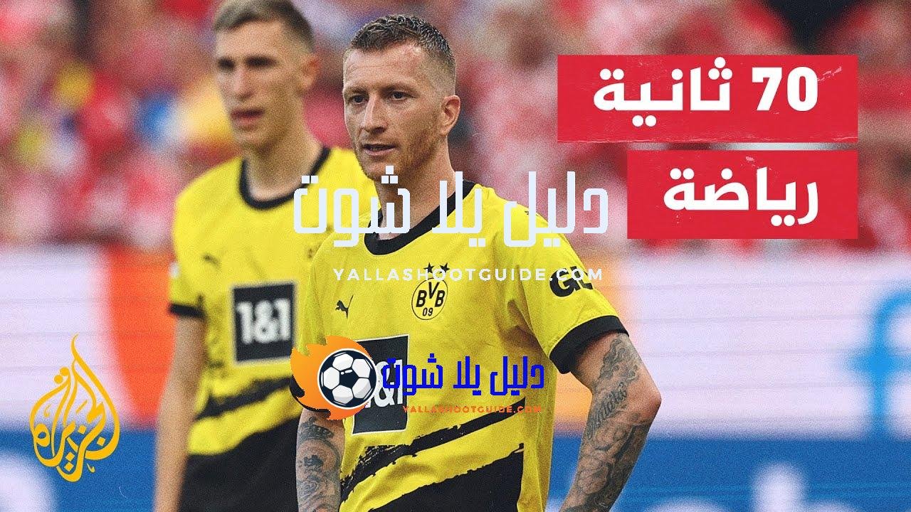دوري أبطال أوروبا.. مفارقة غريبة لدورتموند سيربح أموالا أكثر إذا
