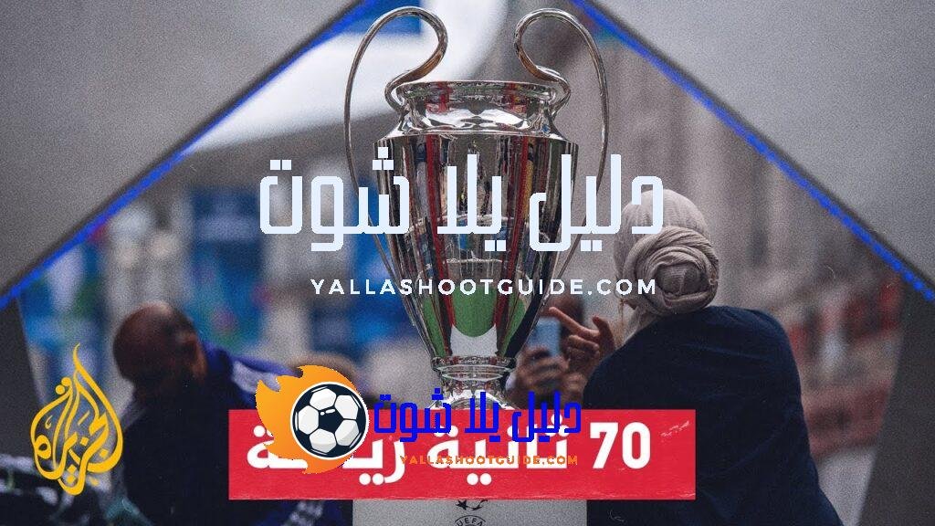 نجوم ساهموا بتتويج منتخباتهم بكأس أمم أوروبا.. تعرف عليهم -