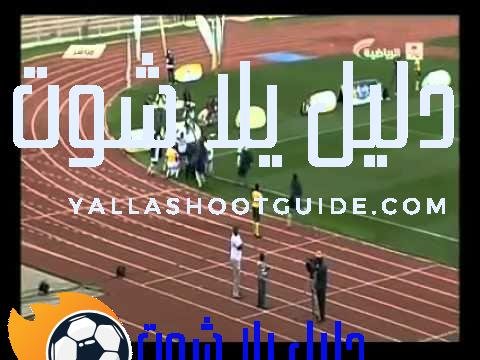 نهائي كأس العالم لذوي الاحتياجات الخاصة 2010 - حقق المنتخب