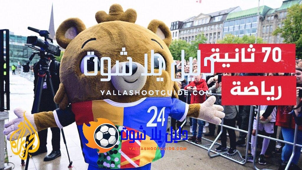 إصابات في صفوف المنتخبات المشاركة في بطولة أمم أوروبا -