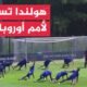 المنتخب الهولندي يستعد لتدشين مشاركته الـ11 في نهائيات كأس أمم