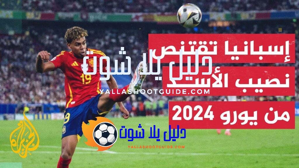 تعرف على أبرز أرقام بطولة أمم أوروبا لكرة القدم ونصيب