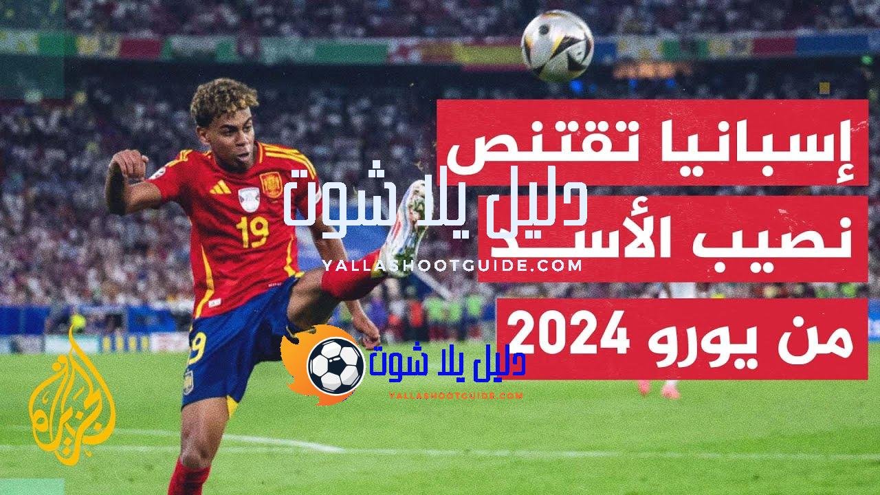 تعرف على أبرز أرقام بطولة أمم أوروبا لكرة القدم ونصيب