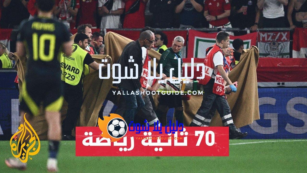 هل سيعود اللاعب بارناباش للمشاركة في يورو 2024؟ - كيف