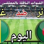 توقيت مباراة الجزائر ضد غينيا اليوم الاثنين في الجولة 8