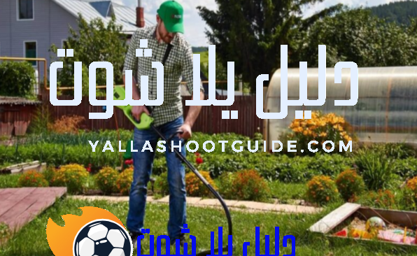 شركة عزل اسطح بالطائف