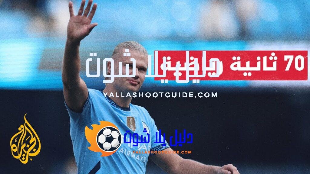 مانشستر سيتي حامل اللقب يحقق فوزا عريضا على ضيفه إيبسويتش