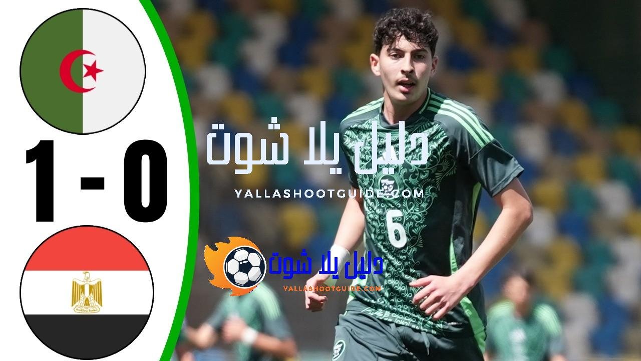 ملخص مباراة الجزائر ومصر 1 - ملخص مباراة مصر والجزائر