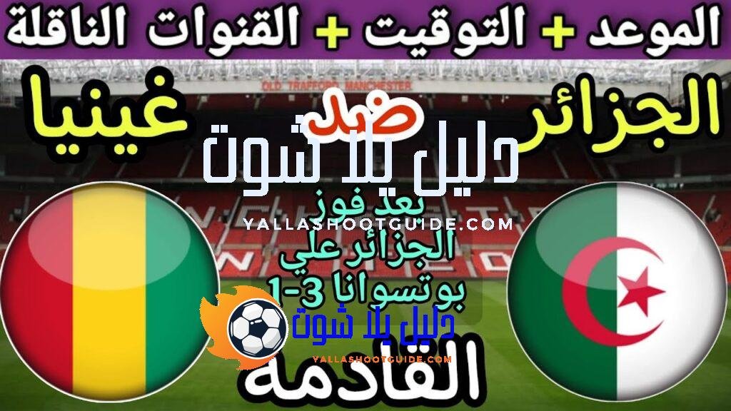 موعد مباراة الجزائر وغينيا القادمة في الجولة 8 من تصفيات