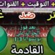 موعد مباراة الجزائر وغينيا القادمة في الجولة 8 من تصفيات