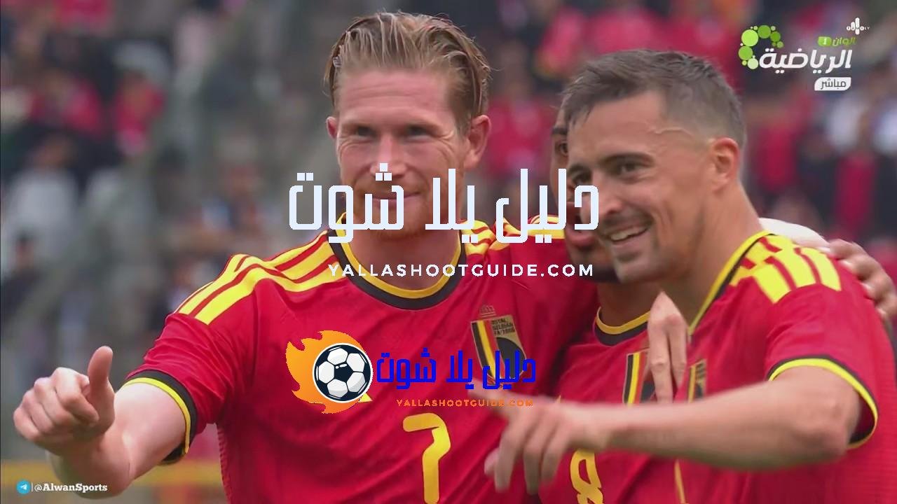 ملخص مباراة بلجيكا وتونس 5 - ملخص مباراة بلجيكا وتونس