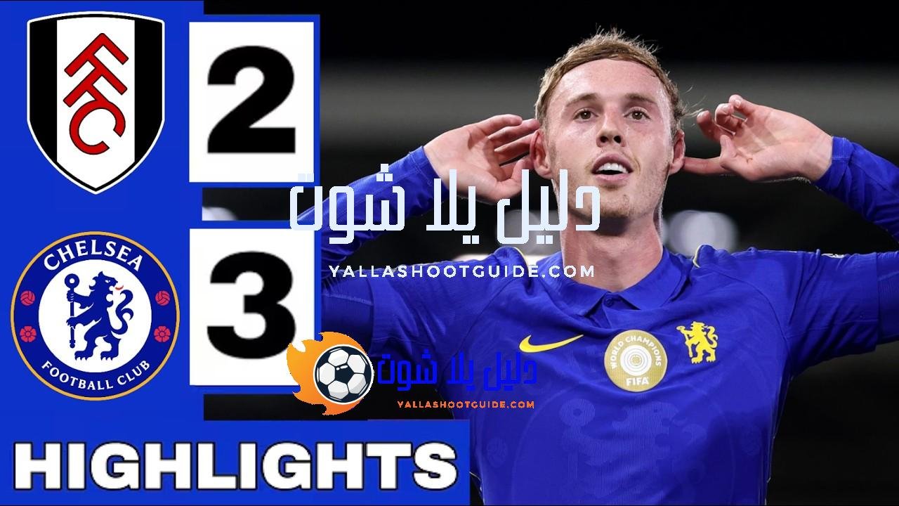 Fulham vs Chelsea 2-3 Highlights & All Goals (Premier League